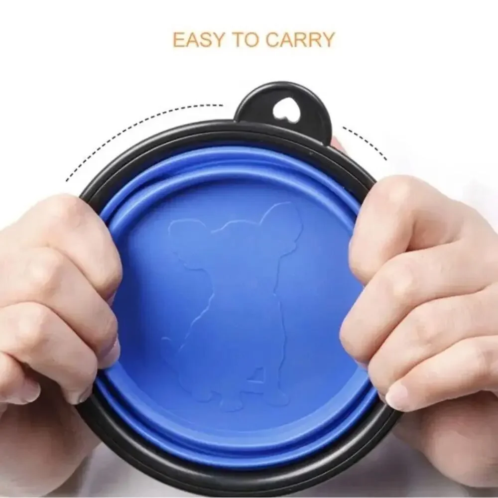 New collapsible dog dish